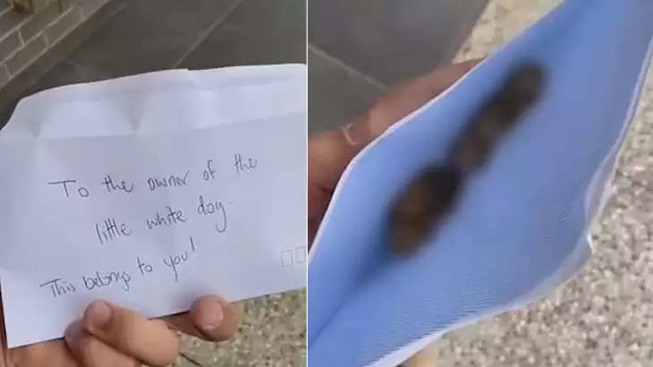 Dog Owner के उड़े होश, गिफ्ट वाले लिफाफे में मिली Dog की... 
