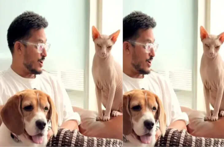 अब कुत्ते-बिल्ली समझेंगे इंसानों की भाषा, मार्केट में आ गया ये नया AI गैजेट, फीचर्स देख 'दीवाने' हुए पेट लवर