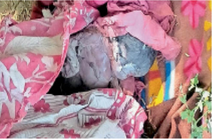 बालोतरा में सड़क किनारे मिला 7 महीने का मृत भ्रूण, पुलिस जांच में जुटी; बच्ची होने की आशंका