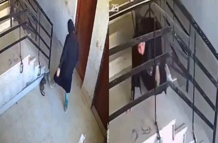 &ldquo;जैसी करनी वैसी भरनी!&rdquo; कुछ ही सेकेंड में मिला कर्मों का फल, वीडियो देख लोग बोले- तुरंत मिला इंसाफ