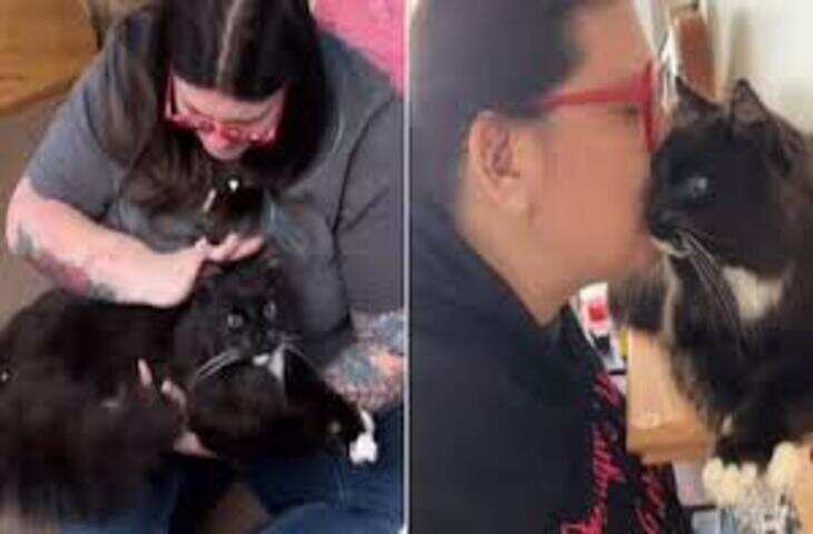 पालतू बिल्ली बनी मुसीबत, महिला को दौड़ा-दौड़ाकर काटने का वीडियो वायरल