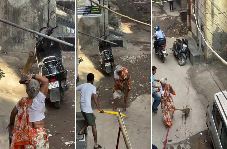 बंदर पर पत्थर फेंकना पड़ा भारी! बुजुर्ग महिला पर हमला, वायरल VIDEO को लेकर सोशल मीडिया पर छिड़ी बहस&nbsp;