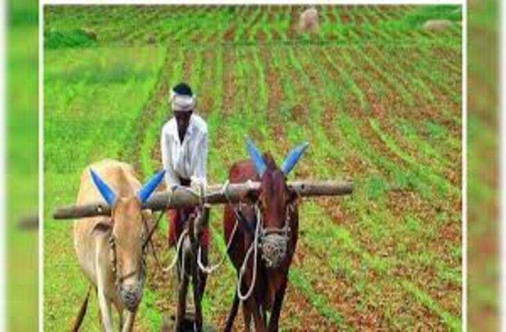 कृषि क्षेत्र में आत्महत्याओं में मामूली गिरावट, NCRB रिपोर्ट में खुलासा