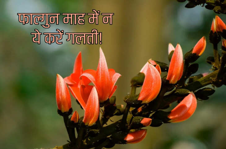 Falgun Maas 2026: आज से शुरू हुआ फाल्गुन मास, जानिए इसमें क्या करना चाहिए और किन बातों से बचना जरूरी​​​​​​​