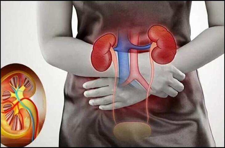 Kidney Disease Alert: शरीर में इन जगहों पर दर्द महसूस हो तो समझ जाएं, किडनी की सेहत पर खतरा​​​​​​​