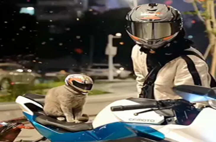 स्कूटी पर स्टाइल में बैठी बिल्ली ने मछली चुराने की बनाई प्लानिंग, व्विरल वीडियो एख आप भी कहेंगे - 'How Cute...'