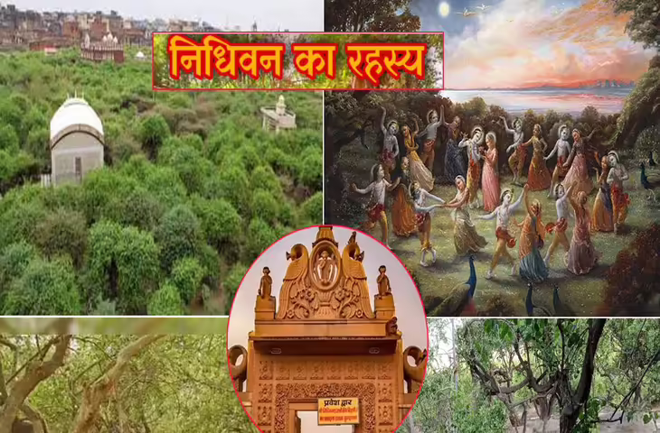 Nidhivan का रहस्य: रात होते ही क्यों बंद हो जाता है यह जंगल? क्या सच में यहाँ आज भी होता है राधाकृष्ण का रास&nbsp;