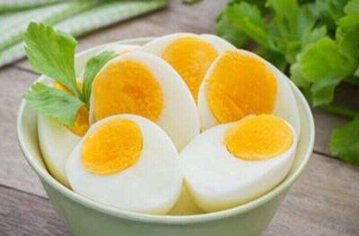 Milk Egg Chicken Price: मक्का-सोयाबीन महंगा होने से बढ़ी दूध, अंडे और चिकन की लागत, जानें क्या है वजह