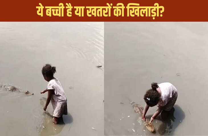 वायरल वीडियो में बच्ची मगरमच्छ को प्यार से सहला रही, लोगों ने हिम्मत को किया सलाम