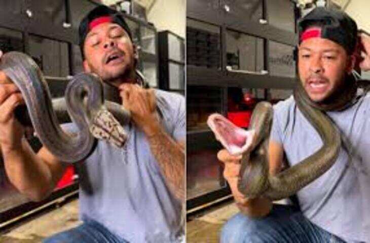 vसोशल मीडिया पर अक्सर वीडियो वायरल होते रहते हैं, लेकिन कुछ वीडियोज़ देखने वालों के रोंगटे खड़े कर देते हैं। हाल ही में ऐसा ही एक खौफनाक वीडियो वायरल हुआ है, जिसमें एक अजगर ने शख्स को अपनी कुंडली में जकड़ लिया और शख्स उसकी पकड़ से बचने की पूरी कोशिश करता दिख रहा है।  वीडियो में क्या दिख रहा है वीडियो में देखा जा सकता है कि अजगर लगातार अपनी पकड़ मजबूत करता जा रहा है। देखते ही देखते वह शख्स के हाथ और पैर दोनों को अपनी कुंडली में कस लेता है। इस खतरनाक स्थिति में शख्स को अजगर की पकड़ से छूटने के लिए लगातार प्रयास करते हुए देखा जा सकता है।  शख्स के संघर्ष और अजगर की ताकत इस वीडियो को बेहद खौफनाक और रोमांचक बना देती है। वीडियो में साफ दिखाई देता है कि शख्स अपनी जान बचाने के लिए हर संभव कोशिश कर रहा है, लेकिन अजगर की पकड़ लगातार मजबूत होती जा रही है।  सोशल मीडिया पर वायरल  वीडियो वायरल होते ही सोशल मीडिया पर इसे लेकर चर्चा शुरू हो गई। यूज़र्स ने वीडियो को देखकर अपनी प्रतिक्रिया व्यक्त की:  &ldquo;यह वीडियो देखकर रोंगटे खड़े हो गए।&rdquo; &ldquo;शख्स की हिम्मत काबिले तारीफ है, लेकिन अजगर की ताकत भी कमाल की है।&rdquo; &ldquo;इससे पता चलता है कि जंगली जानवरों के साथ मुकाबला कितना खतरनाक हो सकता है।&rdquo;  कई लोग वीडियो को शेयर करते हुए इसे सावधानी और जागरूकता का सबक बता रहे हैं। वन्य जीव विशेषज्ञ और सर्प विशेषज्ञ का कहना है कि अजगर जैसे सांप और सर्पशरीर प्राणी इंसान को तुरंत पकड़ लेते हैं और उनकी कुंडली की ताकत बेहद मजबूत होती है। ऐसे में इंसान की सुरक्षा के लिए विशेष सावधानी और प्रशिक्षित लोगों की मदद आवश्यक है।  विशेषज्ञों ने यह भी कहा कि अजगर आमतौर पर इंसानों पर हमला नहीं करते, लेकिन जब वे खतरा महसूस करते हैं या शिकार को पकड़ने का प्रयास करते हैं, तो उनकी शक्ति खतरनाक साबित हो सकती है।