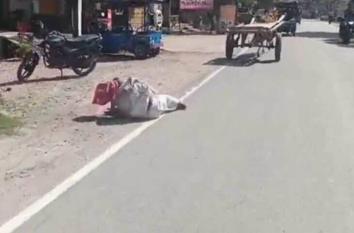 एक गलती और बेकाबू हुआ घोड़ा, देखते ही देखते सड़क पर मच गया बवाल!
