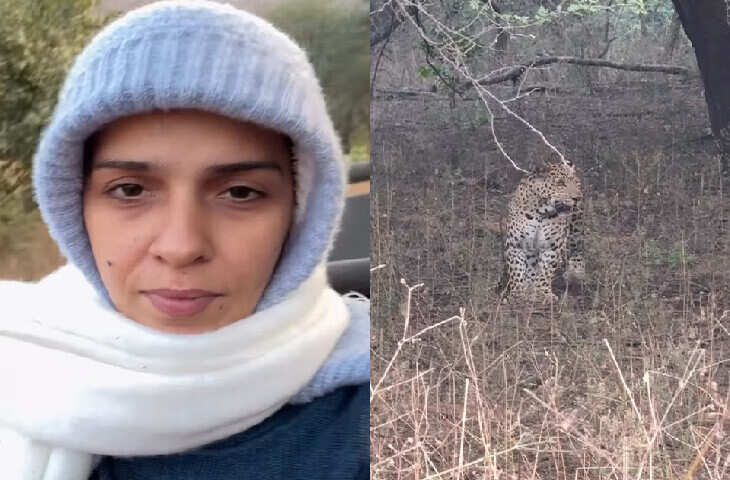 जयपुर में &lsquo;लेपर्ड वाली मां&rsquo; के दर्शन करने पहुंची साइना नेहवाल, Video