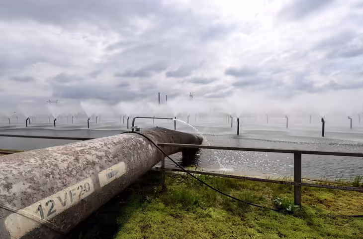 न्यूयॉर्क के इंडियन प्वाइंट न्यूक्लियर प्लांट को लेकर पुरानी रिपोर्ट्स फिर चर्चा में