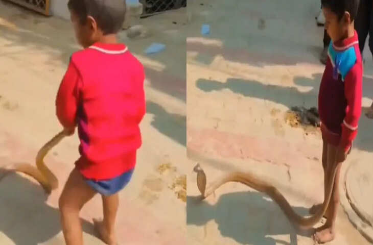 जहरीले सांप के साथ खिलौने की तरह खेलता दिखा बच्चा, वीडियो देख लोग बोले - 'इसका&nbsp;यमराज के साथ उठना-बैठना लगता है'