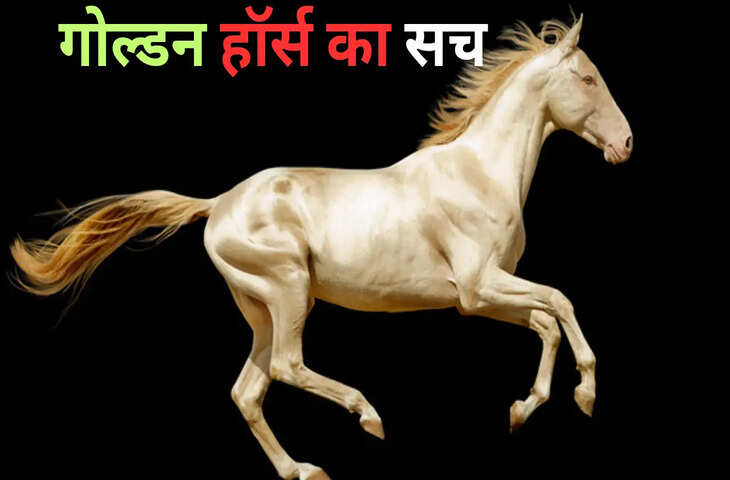 अजब-गजब जीव: इस अनोखे जीव के बारे में जानकर रह जाएंगे दंग