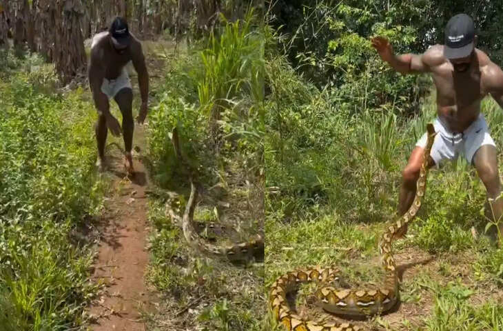 सोशल मीडिया पर वायरल: शख्स और विशालकाय अजगर के बीच खतरनाक आमना-सामना, देखकर लोग दंग रह गए
