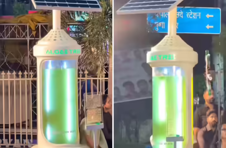 क्या है &ldquo;Algae Tree&rdquo;? भोपाल में लगी अनोखी मशीन बनी इंटरनेट पर चर्चा का विषय, 25 पेड़ों जितना काम करने का दावा