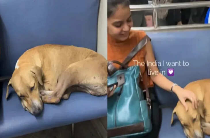मुंबई लोकल में दिखा इंसानियत का खूबसूरत नजारा, सीट पर सो रहे डॉगी पैसेंजर्स ने जमकर लुटाया प्यार, देखे वीडियो&nbsp;