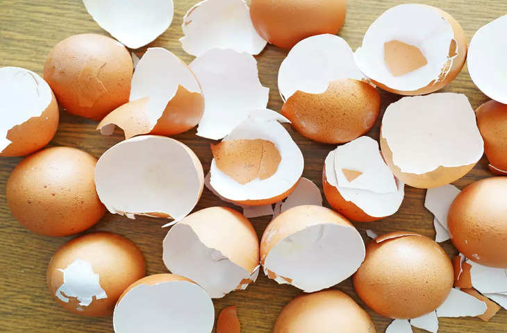 बहुत काम का होता है अंडे का छिलका, हड्डियों को बनता है मजबूत, जाने कैसे करें इस्तेमाल