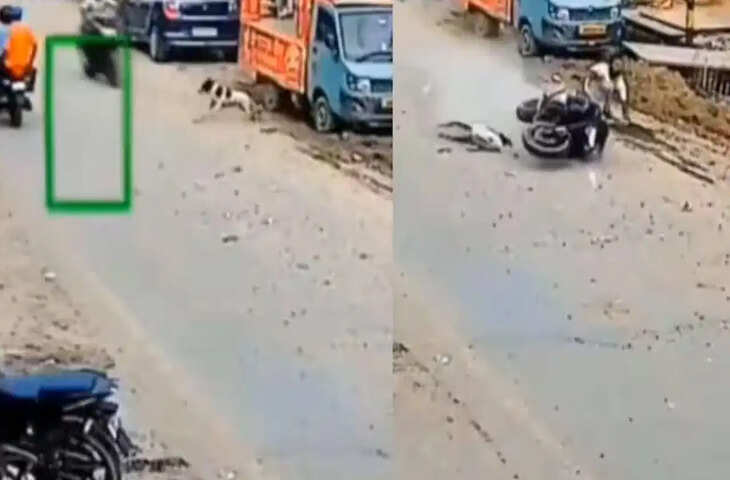 तेज रफ्तार बाइक के सामने अचानक आया कुत्ता, दर्दनाक हादसे का वीडियो वायरल