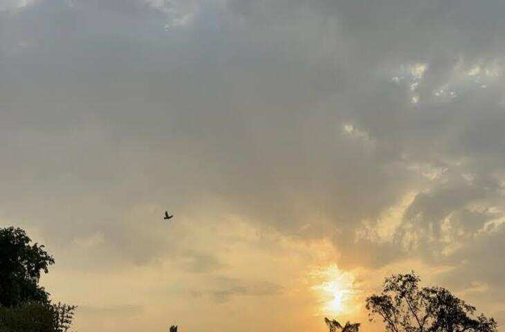 राजस्थान के 7 जिलों में आज आंधी-बारिश का यलो अलर्ट, वीडियो में जाने अलवर में ओले गिरे; माउंट आबू में पारा 13 डिग्री से नीचे