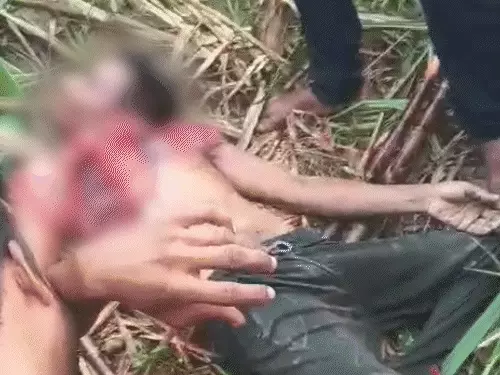 मुरादाबाद में चारपाई पर सो रहे युवक पर तेंदुए का हमला, गर्दन पर किया वार; तड़पकर हुई मौत