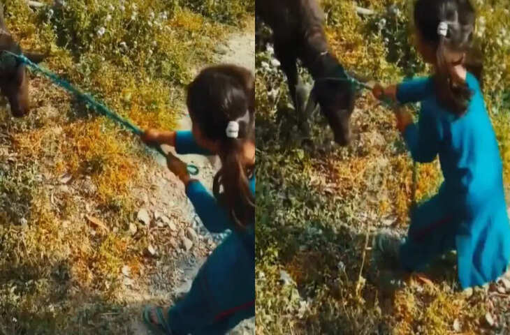 &ldquo;मैंने भी तेरी मां का दूध पिया है....' बच्ची ने बोला ऐसा तगड़ा डायलॉग, कि वीडियो ने इन्टरनेट पर मचा दी धूम&nbsp;