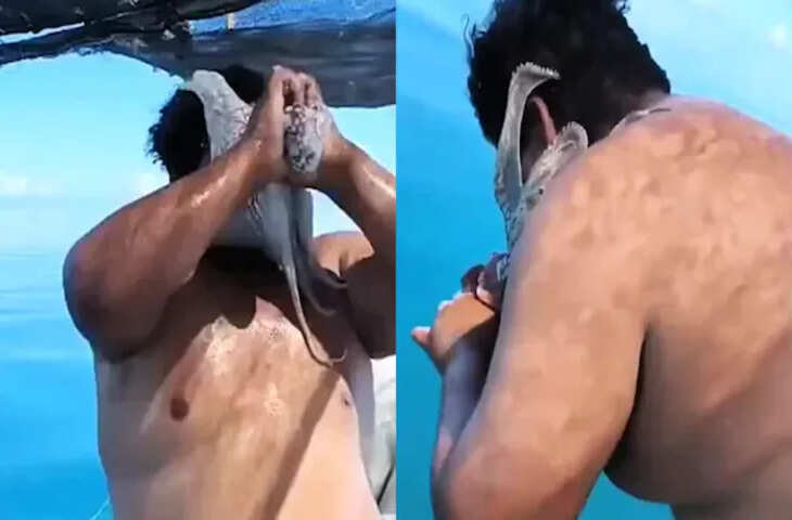 शिकार के दौरान मछुआरे के चेहरे पर चिपका ऑक्टोपस, बेबस दिखा इंसान, तो हंसते हुए दोस्त बनाता रहा वीडियो!