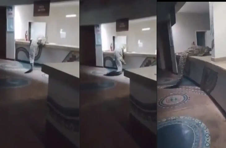 इंस्टाग्राम वायरल वीडियो: पिता के भावुक कर देने वाले पल ने जीता लोगों का दिल