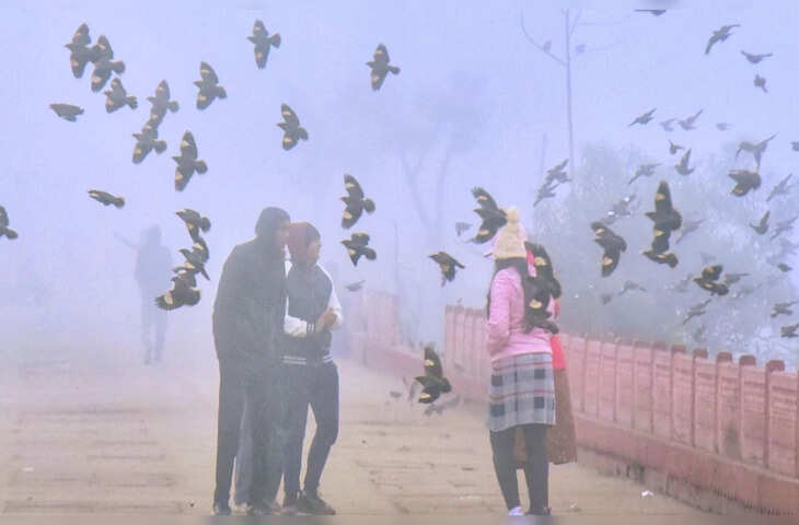 राजस्&zwj;थान में बारिश के साथ घने कोहरे का अलर्ट, माउंट आबू में पारा शून्य