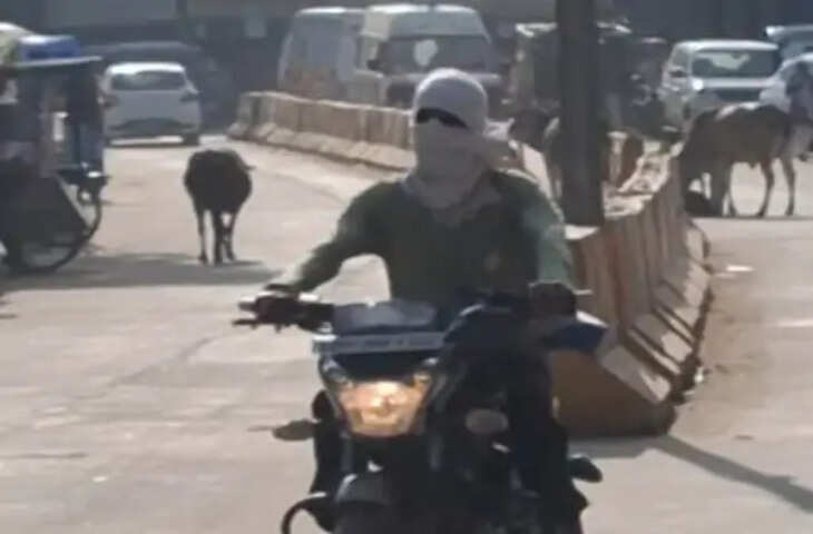 सतना में दो दिन से बारिश थमी, उमस और गर्मी ने बढ़ाई परेशानी; बादल छाए रहे, झमाझम बारिश का इंतजार