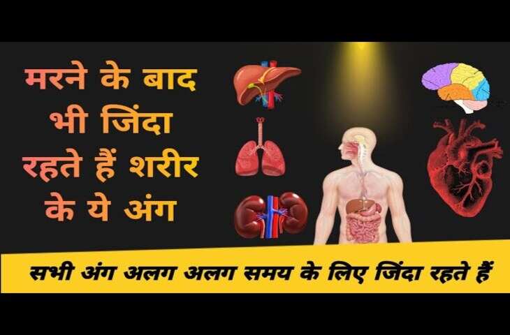 क्या आप जानते हैं मौत के बाद कौन सा अंग सबसे देर तक जिंदा रहता है? जवाब जान दंग रह जाएंगे आप&nbsp;