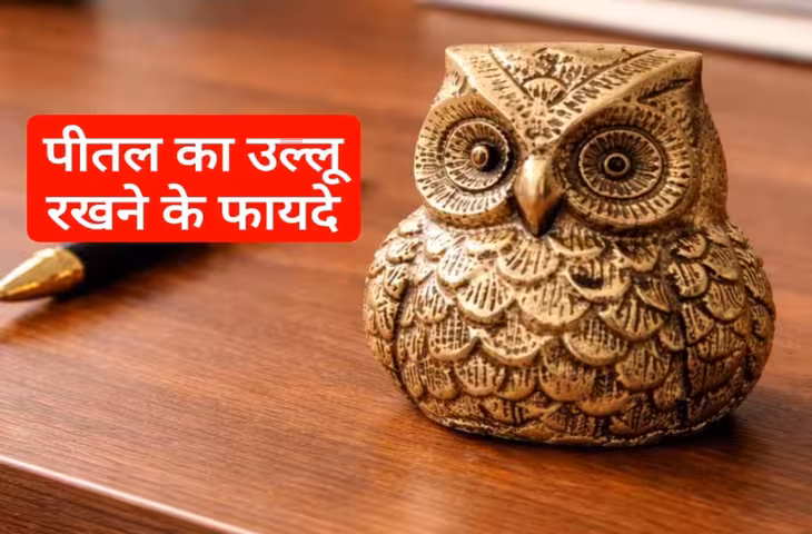 Brass Owl Feng Shui Tips: घर में पीतल का उल्लू रखने से दूर हो सकती है नकारात्मक ऊर्जा, जानें सही दिशा और नियम