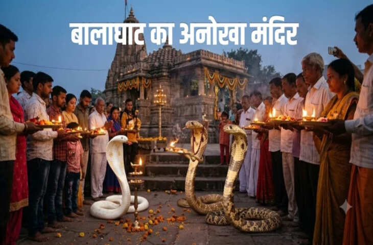 बालाघाट के इस मंदिर में 7 साल से सावन में आ रहा सांपों का जोड़ा, आरती में होते हैं शामिल, सावन के बाद हो जाते गायब