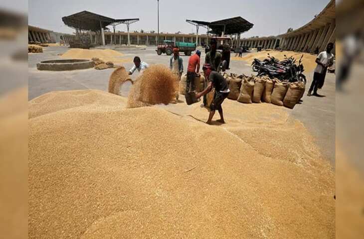 राजस्थान में सरसों की सरकारी खरीद बाद में, गेहूं की खरीद 10 मार्च से शुरू