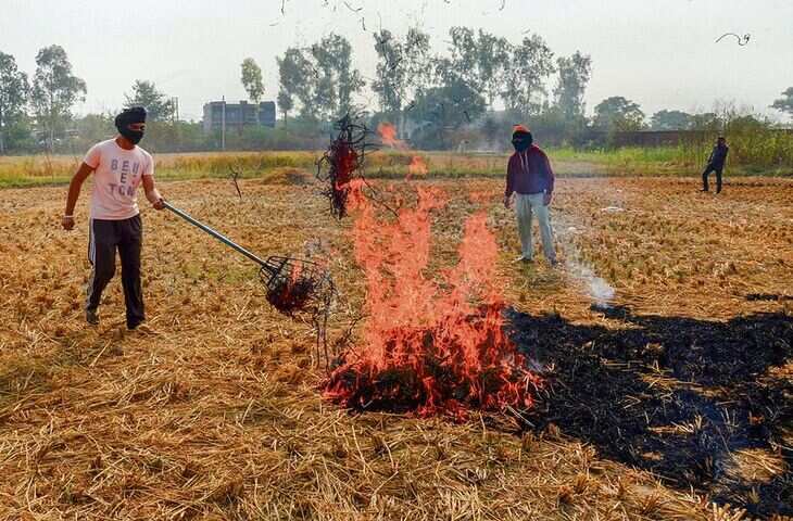 पराली जलाने पर रोक लगाने के लिए विभाग ने हरियाणा के 10 जिलों पर ध्यान केंद्रित किया