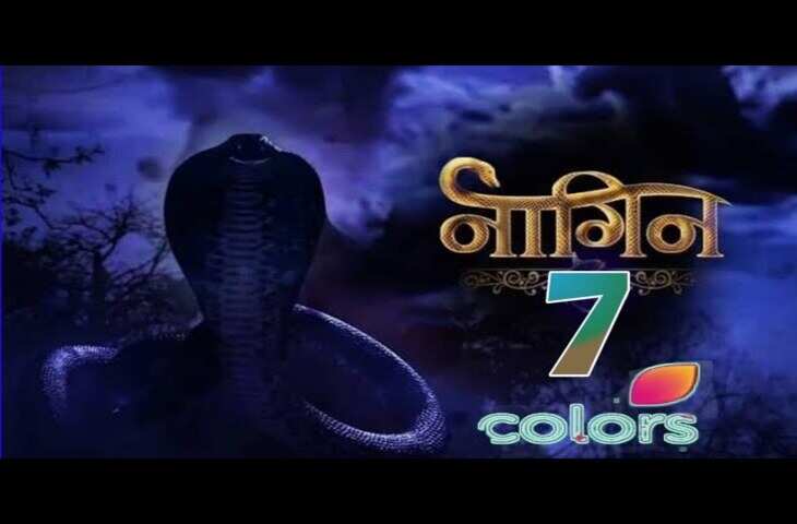 टीवी शो नागिन 7 के लिए खत्म हुई लीड एक्टर की तलाश, गुलतेशम खान बनेगे सांप&nbsp;