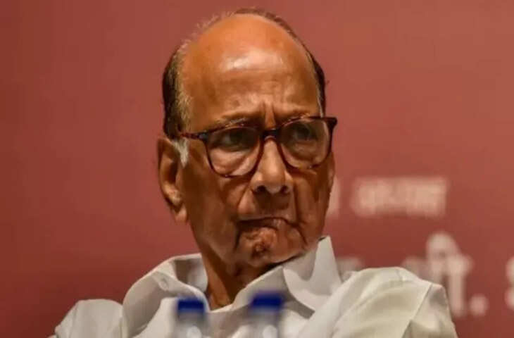 Sharad Pawar Shock: BMC चुनाव से पहले NCP की प्रमुख महिला नेता BJP में शामिल, पार्टी में हलचल
