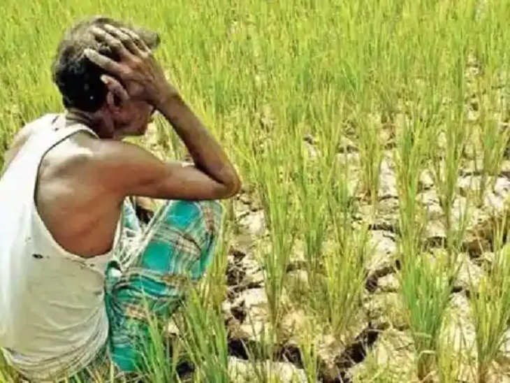 Bhilwara राज किसान एप से मिलेगी योजनाओं की निशुल्क जानकारी, फसल खराब होने की शिकायत दर्ज करा सकेंगे