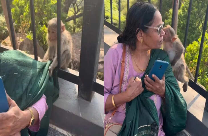 Monkey Baby Viral Video: नन्हे बंदर की प्यारी अदाओं ने इंटरनेट पर मचाई धूम, लोग बोले- कितना क्यूट है