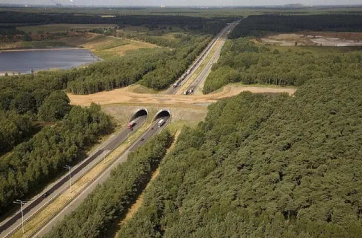 रणथंभौर के पास खुला देश का सबसे बड़ा वन्यजीव ओवरपास, वन्यजीव सुरक्षा को मिलेगा बढ़ावा