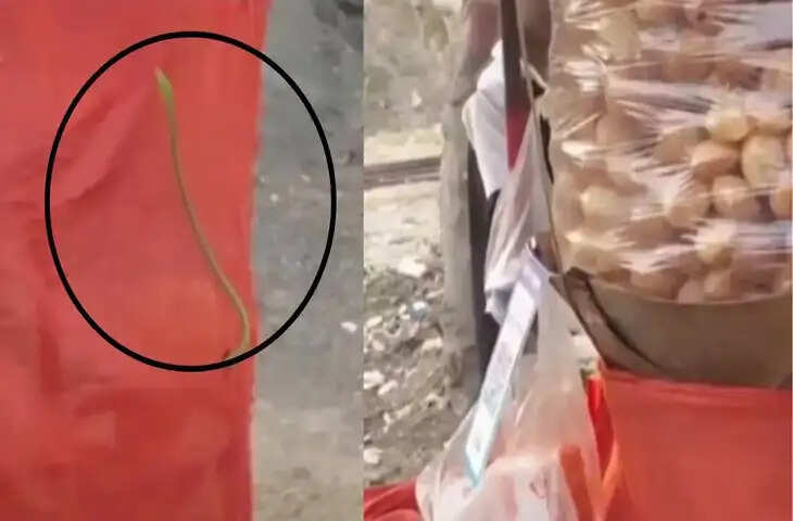 विरार में पानीपुरी स्टॉल से अचानक सांप निकला, सोशल मीडिया पर वीडियो वायरल