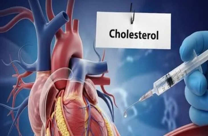 VERVE-102: एक डोज में 62% तक घटेगा बैड कोलेस्ट्रॉल? जानें क्या है ये नई जीन एडिटिंग थेरेपी और कैसे करती है काम