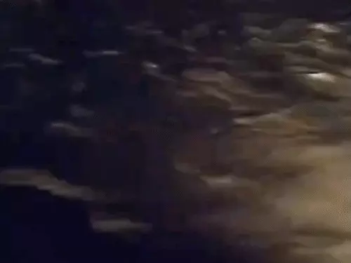 बरेली के बहेड़ी में बाढ़ का खतरा, गौला नदी का पानी छोड़े जाने से किच्छा नदी उफान पर