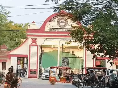 DDU गोरखपुर विश्वविद्यालय में नए सत्र की तैयारियों की समीक्षा, कुलपति ने डीन और HOD के साथ बनाई रणनीति
