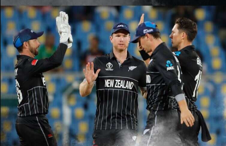 eng vs nz0-1--1-11.JPG