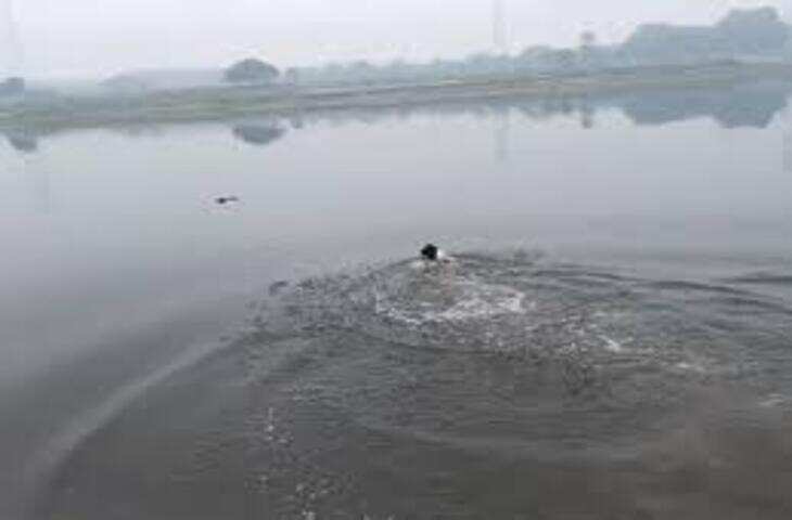 यमुना में डूबती वृद्ध महिला को क्रिकेटर ने समय रहते बचाया, वीडियो वायरल