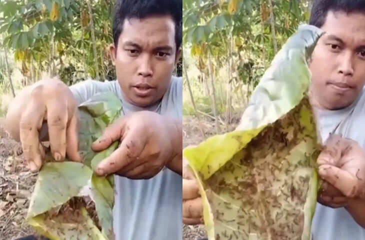 अजीबोगरीब हरकत ने इंटरनेट पर मचाई चर्चा, लोग बोले&mdash;&ldquo;आखिर ये क्या हो रहा है?&rdquo;