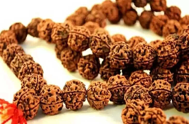 Importance and benefit of seven mukhi rudraksha