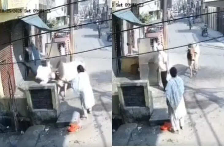 बीच सड़क पर खूंखार सांड ने बुजुर्ग पर किया खौफनाक हमला, वीडियो में देखें कैसे एक वार में ले ली जान